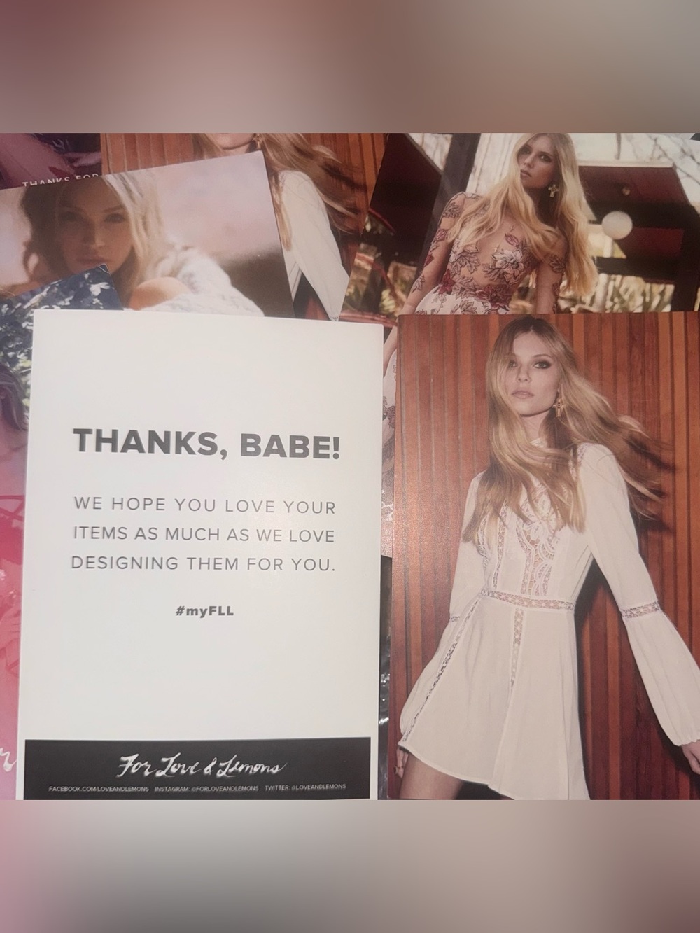 For Love and Lemons Original Large Post Cards